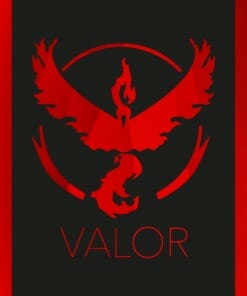 Télécharger carte de dresseur officiel - Team Rouge