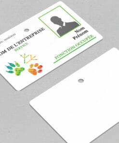 Badge professionnel nominatif Veterinarius Vert - Perforation ronde
