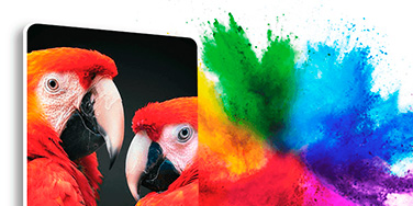 L'utilisation de la couleur pantone sert à réaliser des couleurs exactes, basé sur le nuancier pantone, quelque soit le lieux d'impression dans le monde.